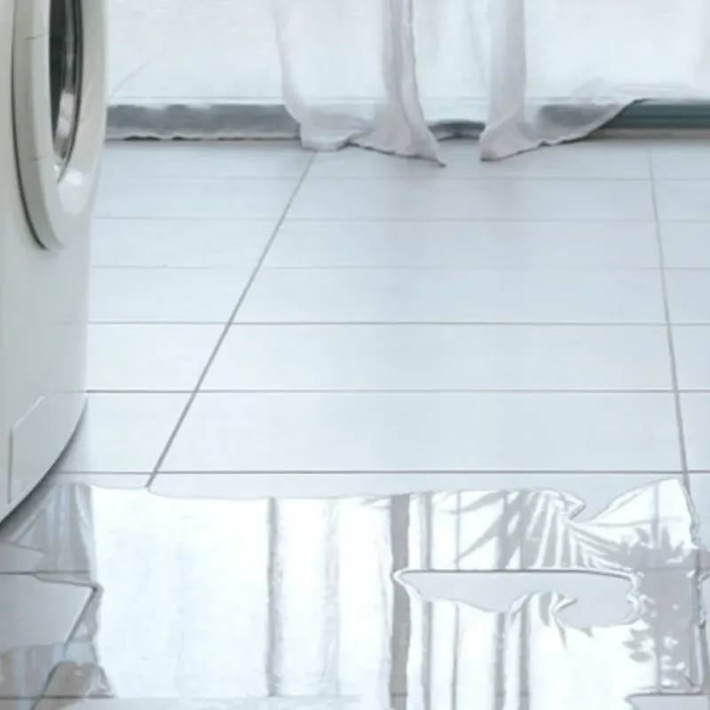 Appliance Leak Cleanup in Lone Star, TX