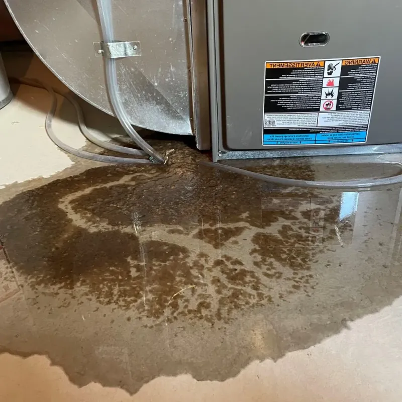 Pipe Burst and Leak Restoration in Lone Star, TX