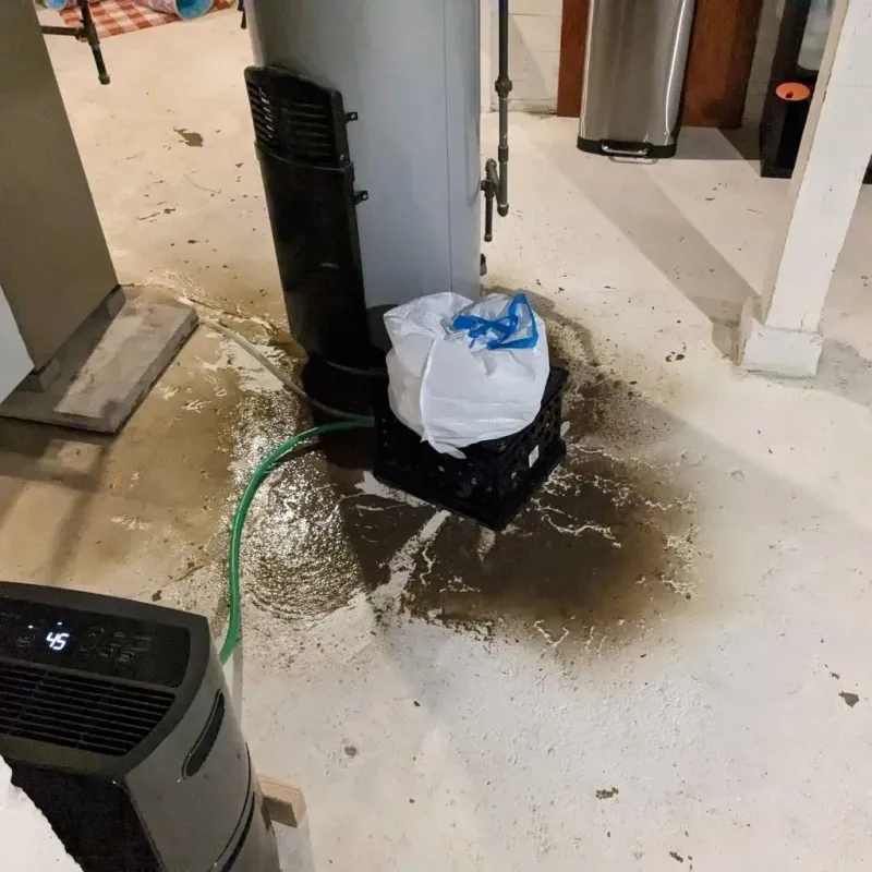 Sewage Backup Cleanup Service in Lone Star, TX